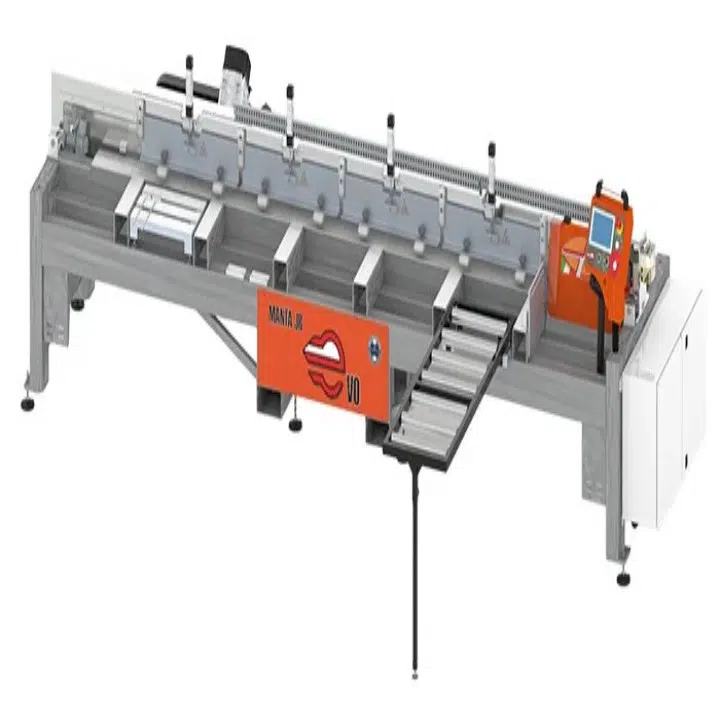 Automatic Stone Slab Saw